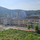 앙드레안경콘택트 이미지