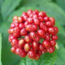 김인호 농장 이미지