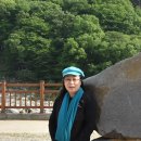 오도제 Daum카페