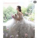 빈플라워 - 인제군 설악로 2362 | 웨딩촬영 플라워디렉팅 가성비 빈랜트 추천 내돈내산 대만족 후기