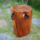 행복을주는나무 이미지