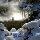 테마건강랜드 이미지