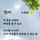 한닢과일 Daum카페