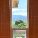 빠이책방 이미지