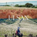 지수사슴농장 | 울산 데이트 드라이브 코스 슬도 간월재 억새 등산코스