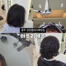 정현 | 원주미용실추천 혁신도시미용실 아뜰리에온 정현 디자이너 무연화 히피펌 후기
