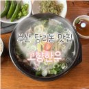 고향맛집 | [부산 사하구] 부산 당리 맛집 고향한우 갈비탕 후기 든든한 점심