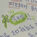 단양우리한옥민박 | 올해 시즌 506만번째 액땜🙃