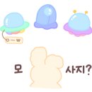 노멀프로젝트 네이버블로그
