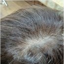 태후사랑 염색방 이미지