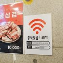 불막열삼 티스토리