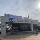 군산대게수산 | 수산물종합센터 1층 9호 망둥어수산 제철숫꽃게 전복 구매후기 군산킹크랩 대게 갑각류맛집 군산해산물