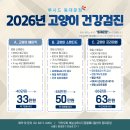 동대문 루시드 동물메디컬센터 이미지