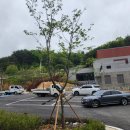 돌리네습지 초소 이미지