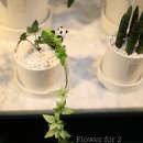 아이비플라워 앞 이미지