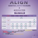 얼라인마샬아츠트릭킹아크로바틱센터