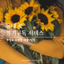 동네 꽃 정기구독 서비스 (무점포 6개월 매출 실험)