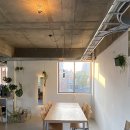 낙은로L 이미지