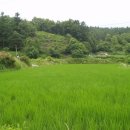 남궁농장 이미지