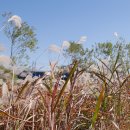 대심마을 이미지