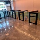 펫파민트 이미지