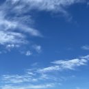 예은켄넬 이미지