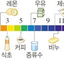 헤어브로시