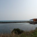 제주 올레길 19코스 이미지