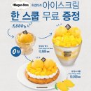 빈스빈스
