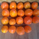 24호선 국도변 이미지