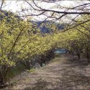 해누리약국 이미지