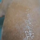 꽃피우개 이미지