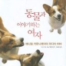 교보동물병원 Daum카페