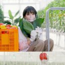 이유리농장 이미지