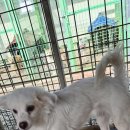 전북말산업복합센터 네이버블로그