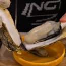 호야실내포차 | 동탄 석화 야장 맛집 명량수산포차 애견동반 방문후기