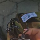 도하저수지 이미지