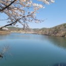 고남2리 이미지