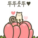 방달팽이 연구소 이미지