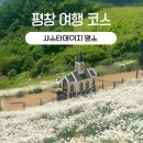 이화막국수 | 여기 한국 맞아? 6월 평창여행코스 추천! 육백마지기 샤스타데이지 명소, 카페 맛집까지