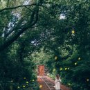 제주도예촌 이미지