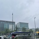 반딧불마트 | 코타키나발루 반딧불투어 내돈내산 가격 마이리얼트립 디나완 후기