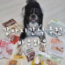 바우와우 | 바우와우 강아지 간식 솔직후기 | HACCP 인증 강아지 간식 추천 바울이 기호성 테스트