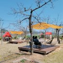 강동로-39 이미지