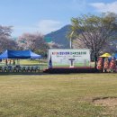 파크골프 | 제20회 밀양시장배 전국파크골프 대회 벚꽃과 함께한 대축제 라온아띠파크골프 후기