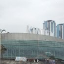 어썸멍스쿨 | 일산 펫페어 킨텍스 2024년 후기