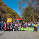 2024.11.3 양구 펀치볼 시래기,사과축제,광치기 자연휴양림,파로호 꽃섬 단체사진 이미지