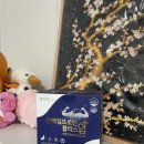 유산균추천/단백질추천 본아당 단백질프로틴플러스업