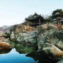 거연정 Daum카페