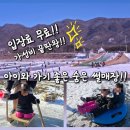연천읍-8 | 곳] 입장료 무료! 가성비 끝판왕! 차탄천 얼음썰매장 (가격, 주차, 꿀팁, 8세 5세 솔직후기, 주변 맛집)